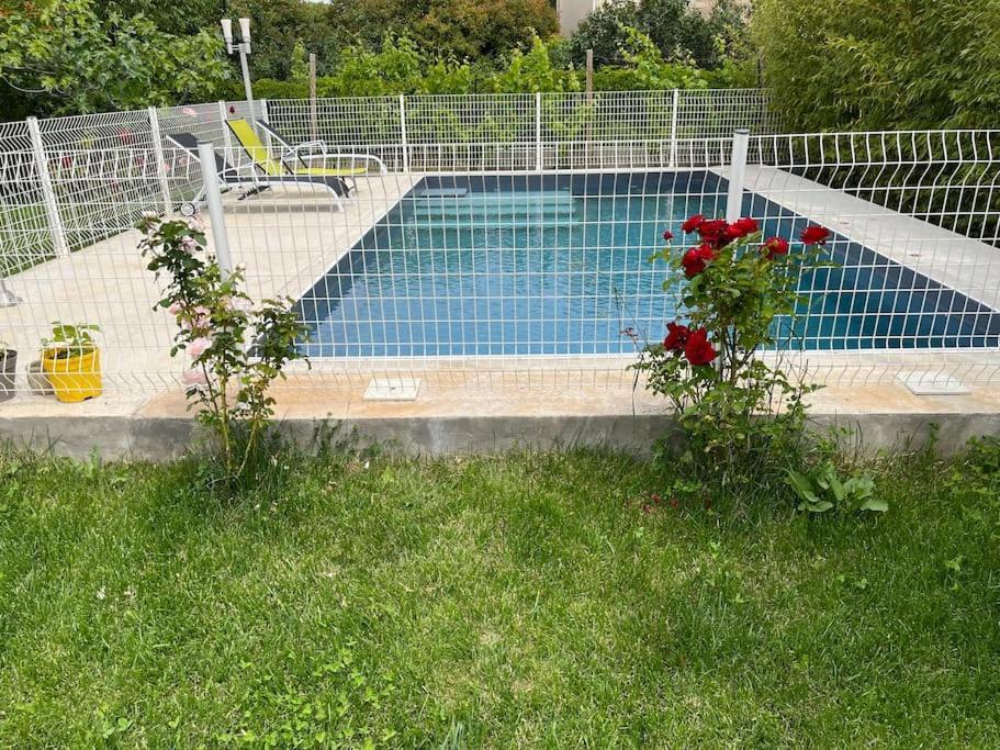 Villa Climatise Avec Piscine Et Jacuzzi Carpentras Eksteriør billede