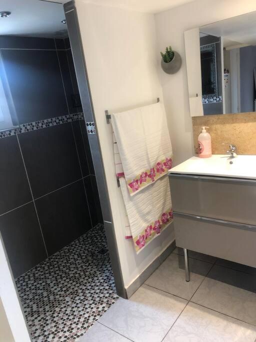 Villa Climatise Avec Piscine Et Jacuzzi Carpentras Eksteriør billede