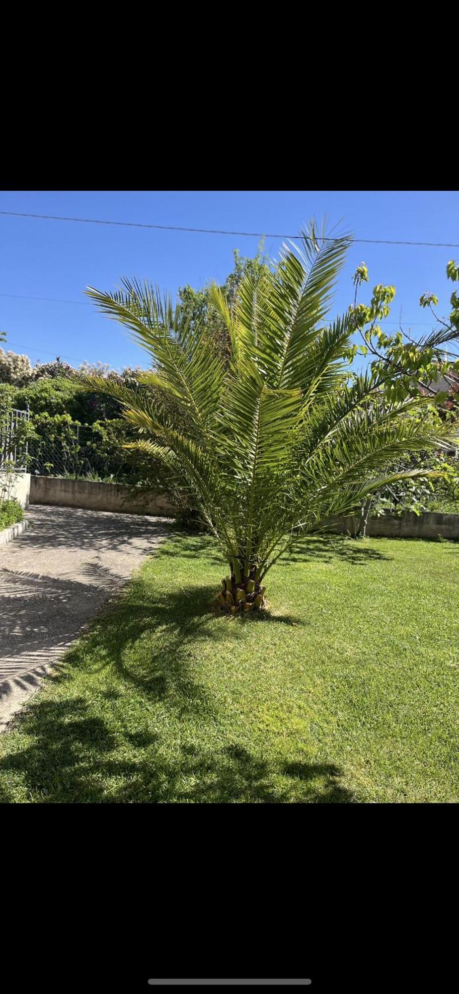 Villa Climatise Avec Piscine Et Jacuzzi Carpentras Eksteriør billede